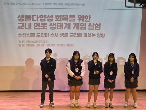 안산형현상기반2